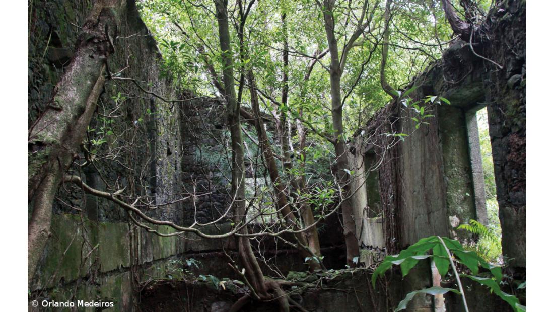 Governo vende propriedade da Grená na lagoa das Furnas