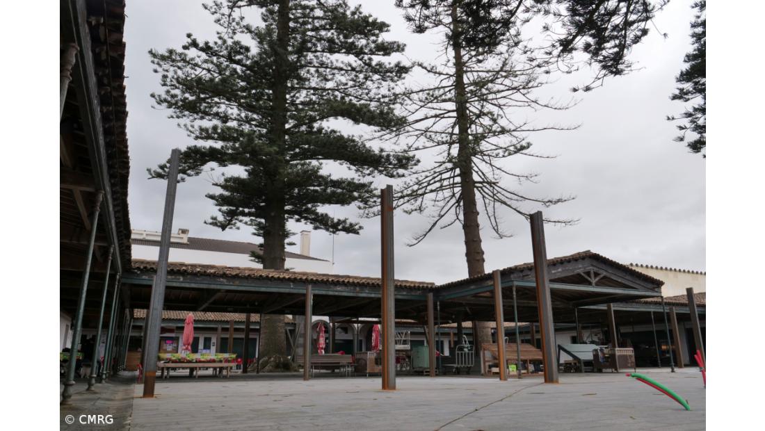 Câmara avança com última fase do projeto de revitalização do mercado municipal – Imagem 3