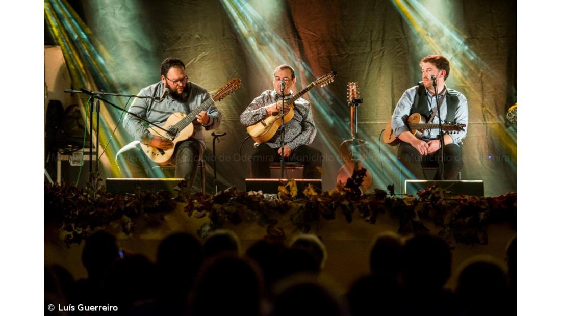 Viola da Terra no VIII Encontro de Violas de Arame – Imagem 1