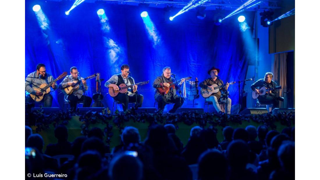 Viola da Terra no VIII Encontro de Violas de Arame – Imagem 3