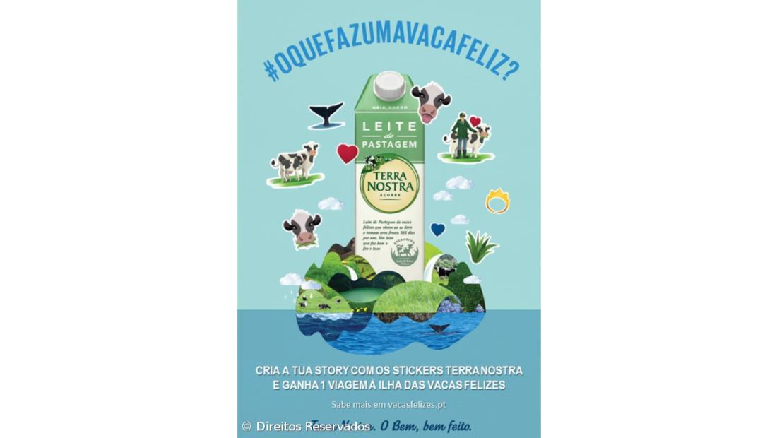 Terra Nostra lança nova campanha musical das Vacas Felizes 2.0