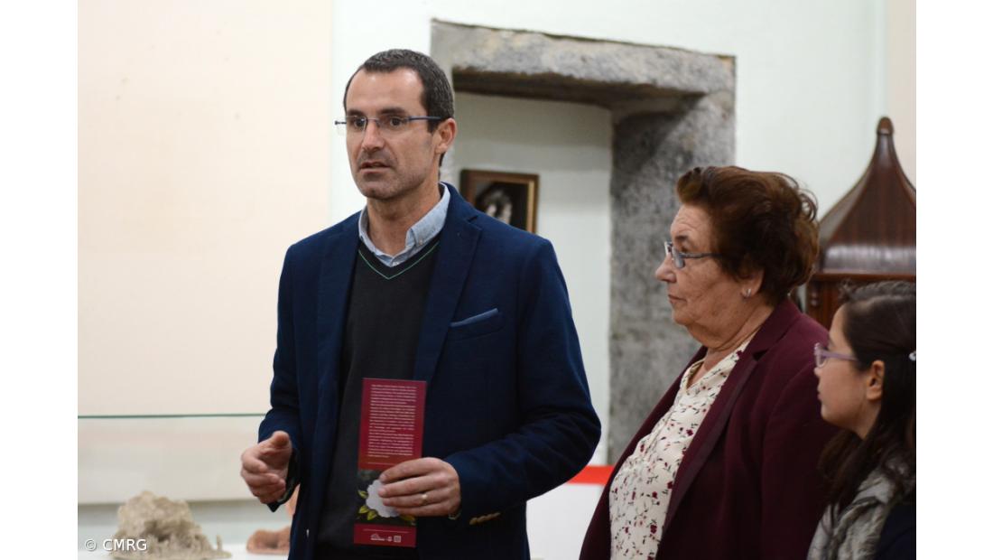 Olga Pontes expõe presépios de lapinha e camélias no Museu Municipal – Imagem 3