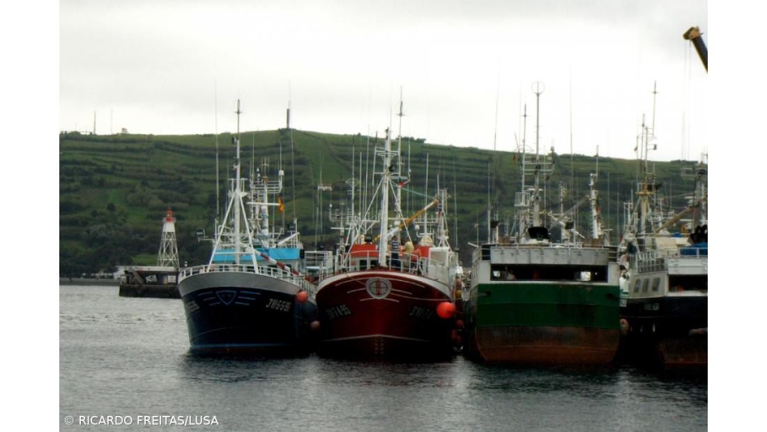 Secretária das Pescas promete eólicas 'offshore' alinhadas com a pesca 
