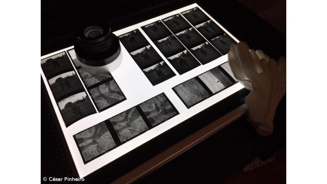 FOCUS AG: resistir ao imediatismo do clique – Imagem 3