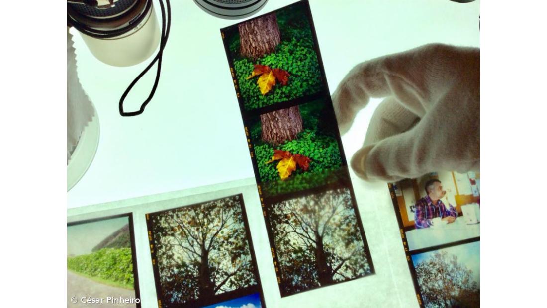 FOCUS AG: resistir ao imediatismo do clique – Imagem 4