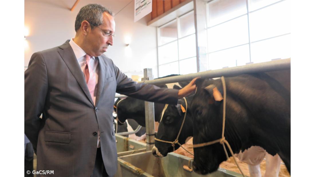 Secretário da Agricultura dos Açores pede "reflexão com profundidade" sobre alterações climáticas