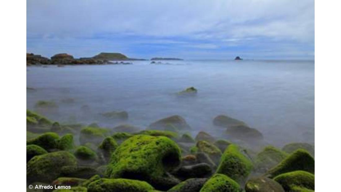 “Paisagens de Mar” em exposição no Parque Atlântico