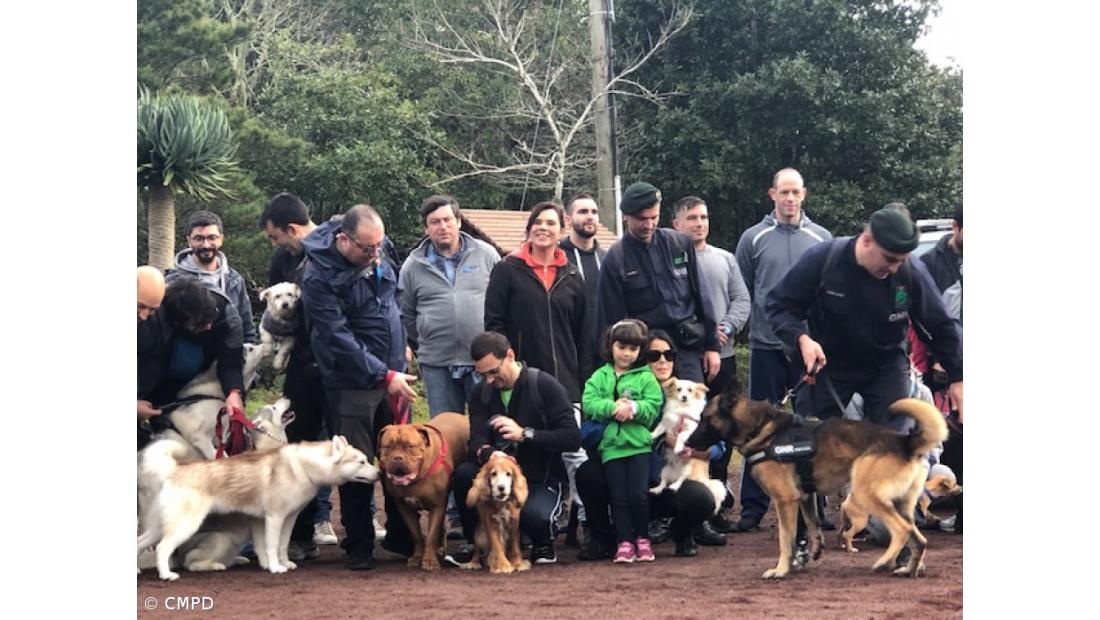 Mais de uma dezena de pessoas na «Cãominhada Solidária» 