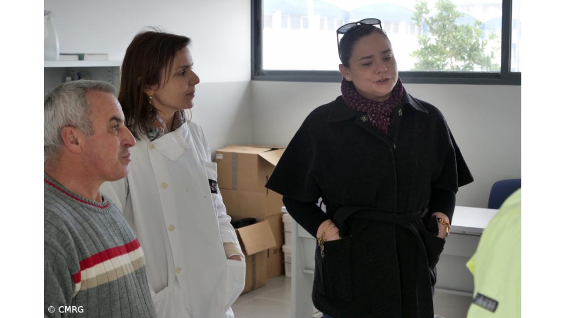 Ribeira Grande aumenta número de adoções e esterilizações de animais – Imagem 1