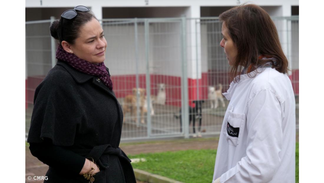 Ribeira Grande aumenta número de adoções e esterilizações de animais – Imagem 2