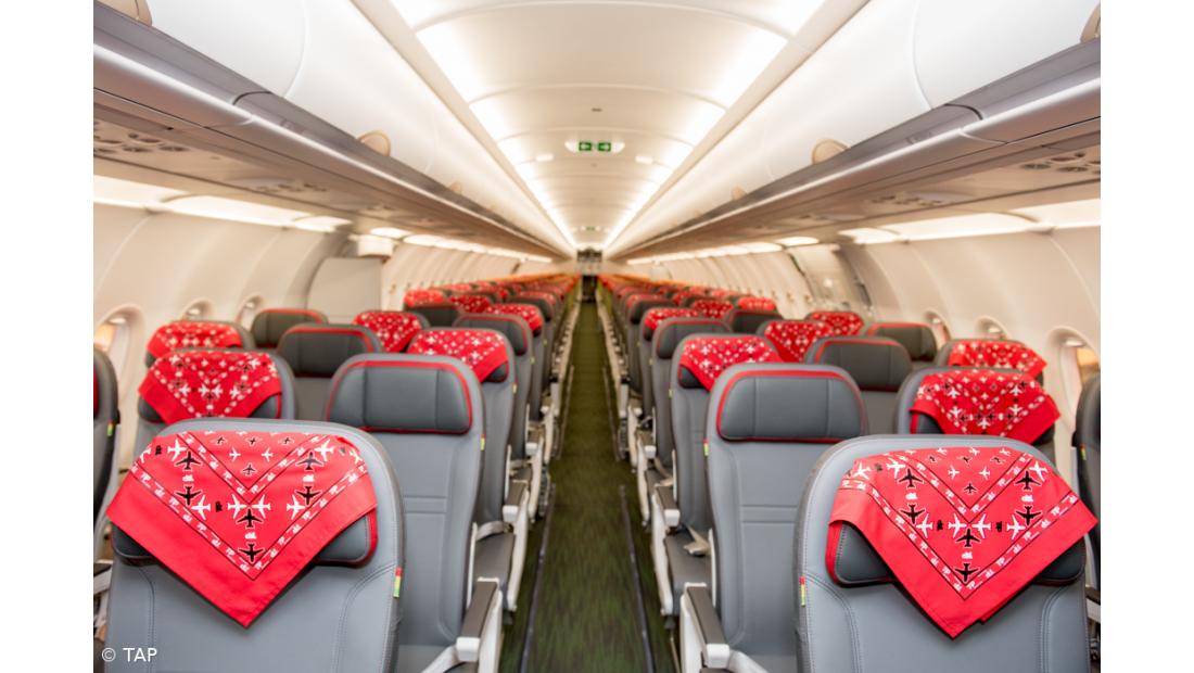 Avião da TAP batizado com o nome de Zé Pedro dos Xutos & Pontapés – Imagem 2