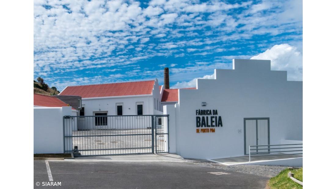 Horta inaugura espaço interpretativo do património cultural e natural subaquático