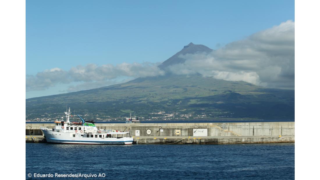 Mais de 500 açorianos do Triângulo juntam-se para comer sopas típicas em São Miguel