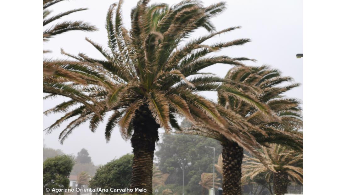 Trânsito condicionado em várias estradas regionais 