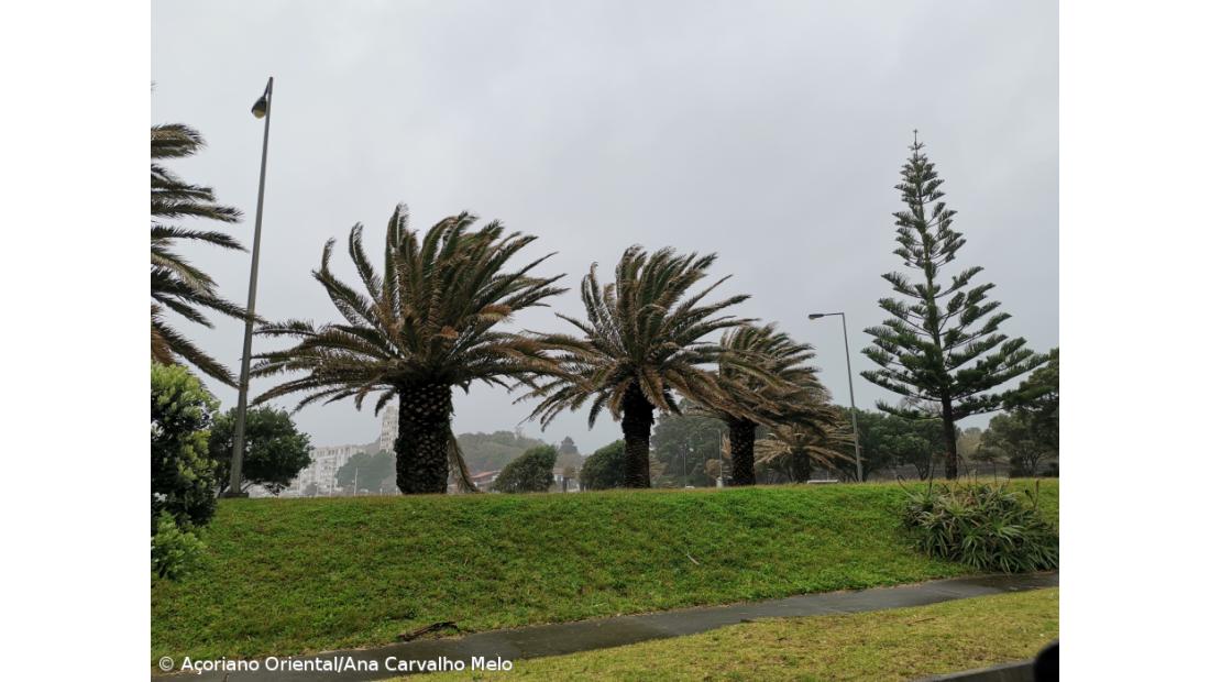 Grupo Ocidental e Oriental sob aviso amarelo