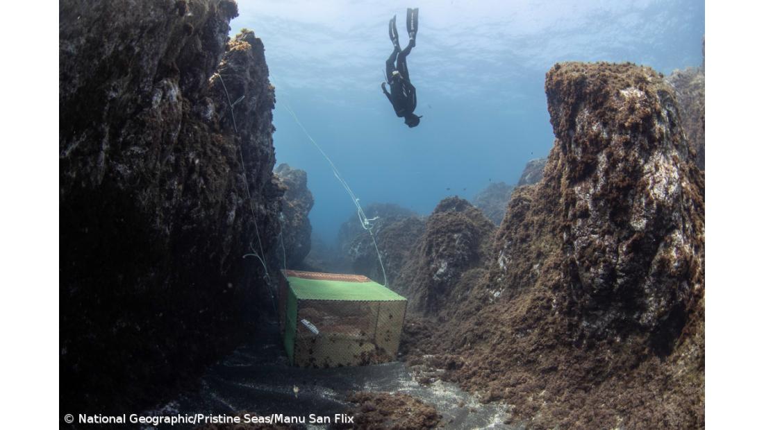 "Blue Azores" vai aumentar área marinha protegida nos Açores – Imagem 3