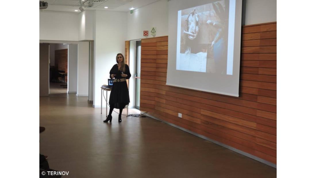 “Faz parte do DNA açoriano querer regressar e fazer alguma coisa pela região”, diz Duarte Pimentel – Imagem 5