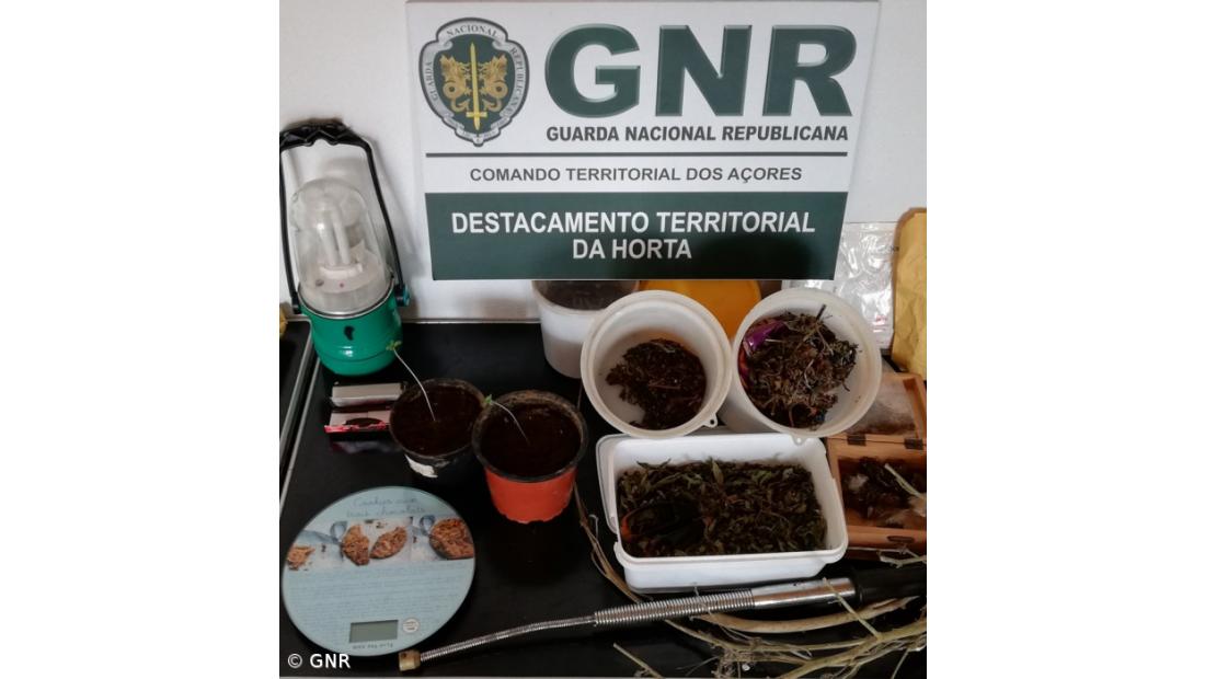 Detidos por tráfico de droga na Horta