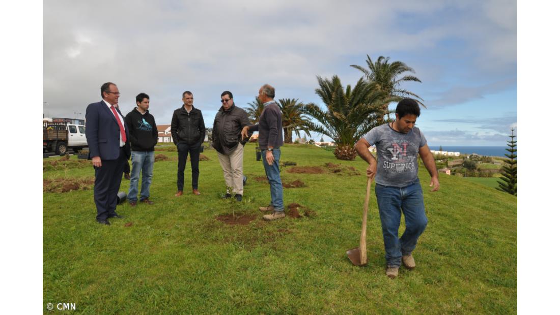 Câmara do Nordeste ajardina espaços públicos com endémicas  – Imagem 3