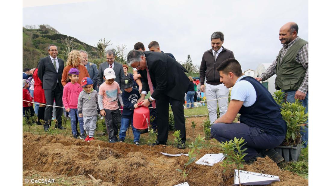 Vasco Cordeiro anuncia que inventário florestal dos Açores vai ser revisto – Imagem 2