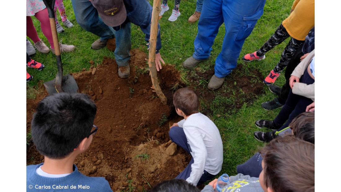 CRACA já ‘planta’ a quinta vida do Jardim Fest  – Imagem 2