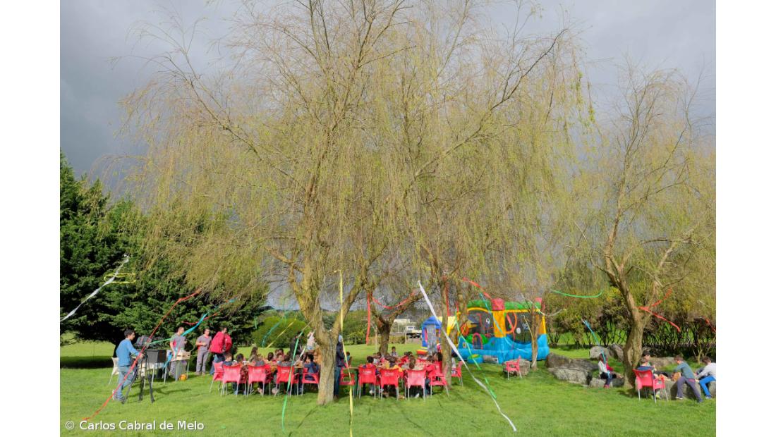 CRACA já ‘planta’ a quinta vida do Jardim Fest  – Imagem 4