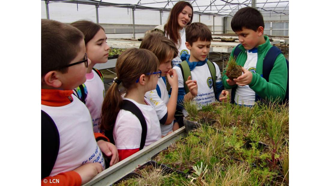 Lions Clube de Nordeste em ação “Eu Sou vigilante da Floresta” – Imagem 1