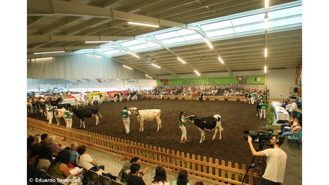 Governo dos Açores anuncia cancelamento de eventos relacionados com a agricultura