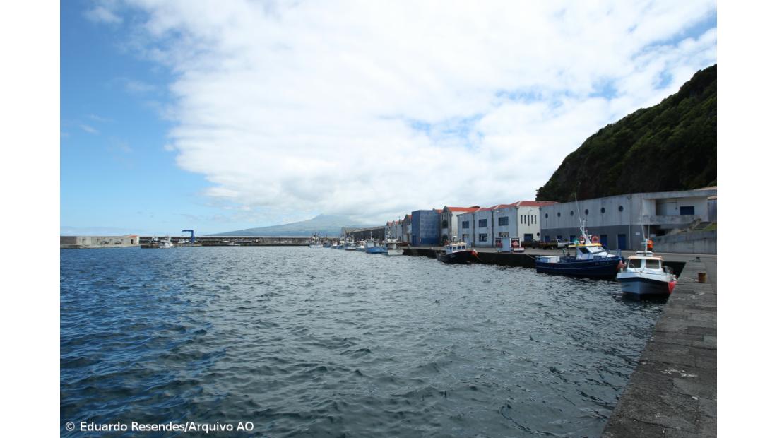 Diversos comandantes dão pareceres favoráveis a proposta para porto da Horta