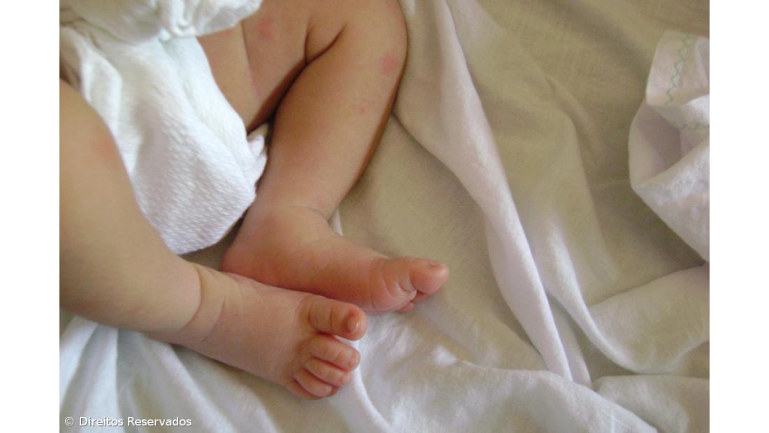 Alterações nas mensalidades das creches 