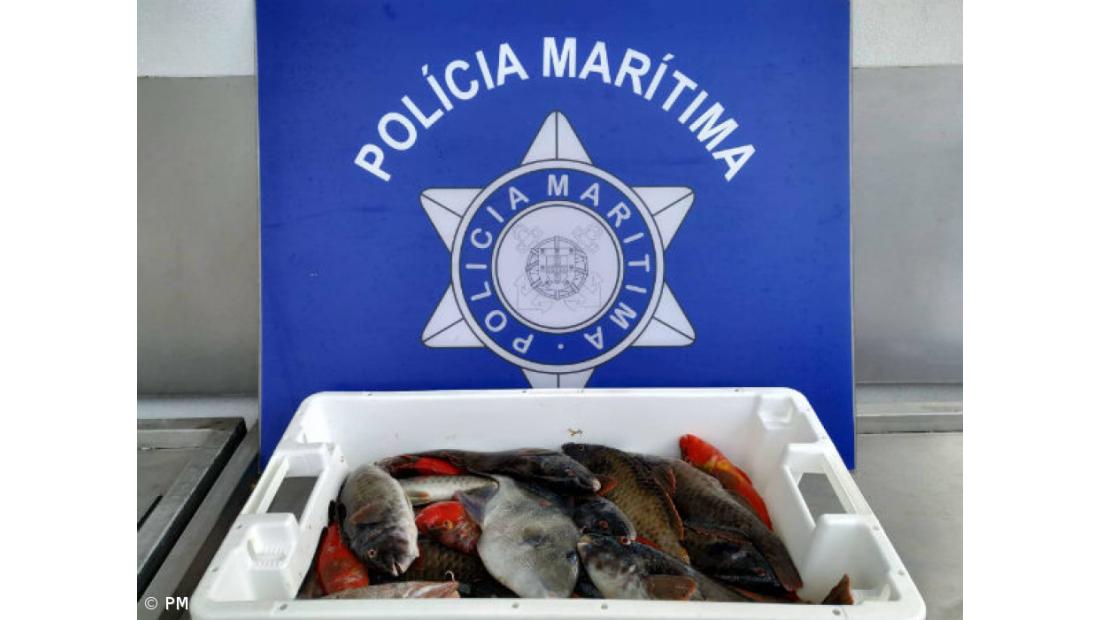 Polícia Marítima apreende 14 kg de pescado ao largo de Santa Maria – Imagem 2