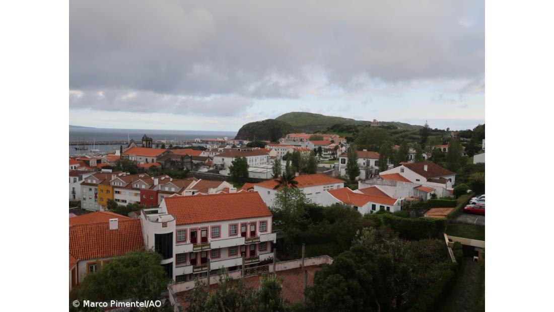 Gestor agrícola diz desconhecer carta de conforto atribuída pelo Governo dos Açores