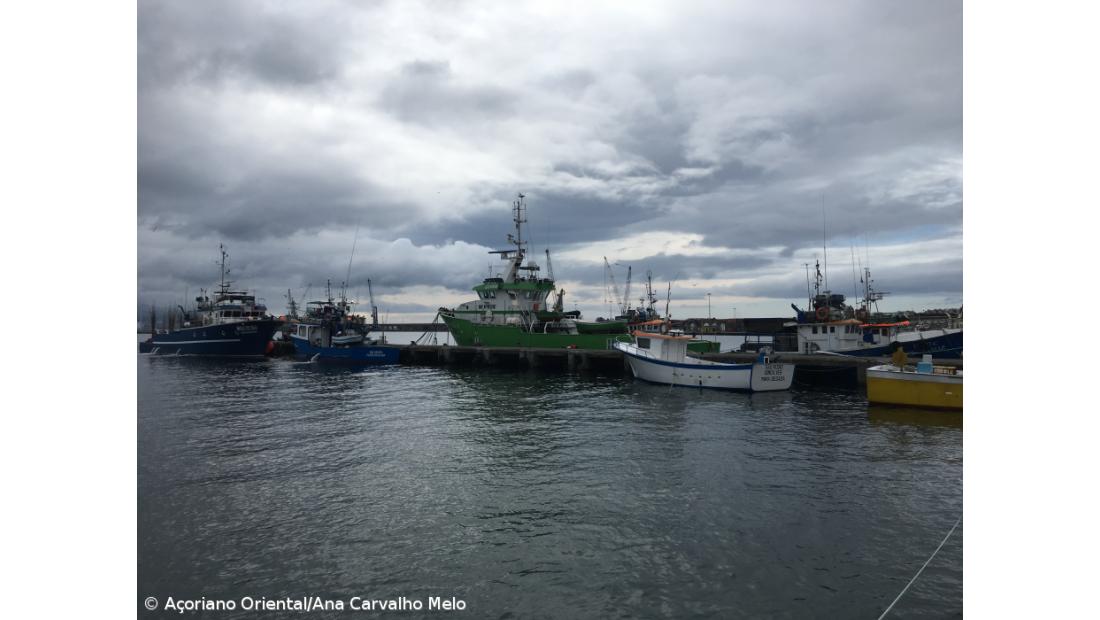 PSD/Açores quer ativação do fundo de compensação dos pescadores