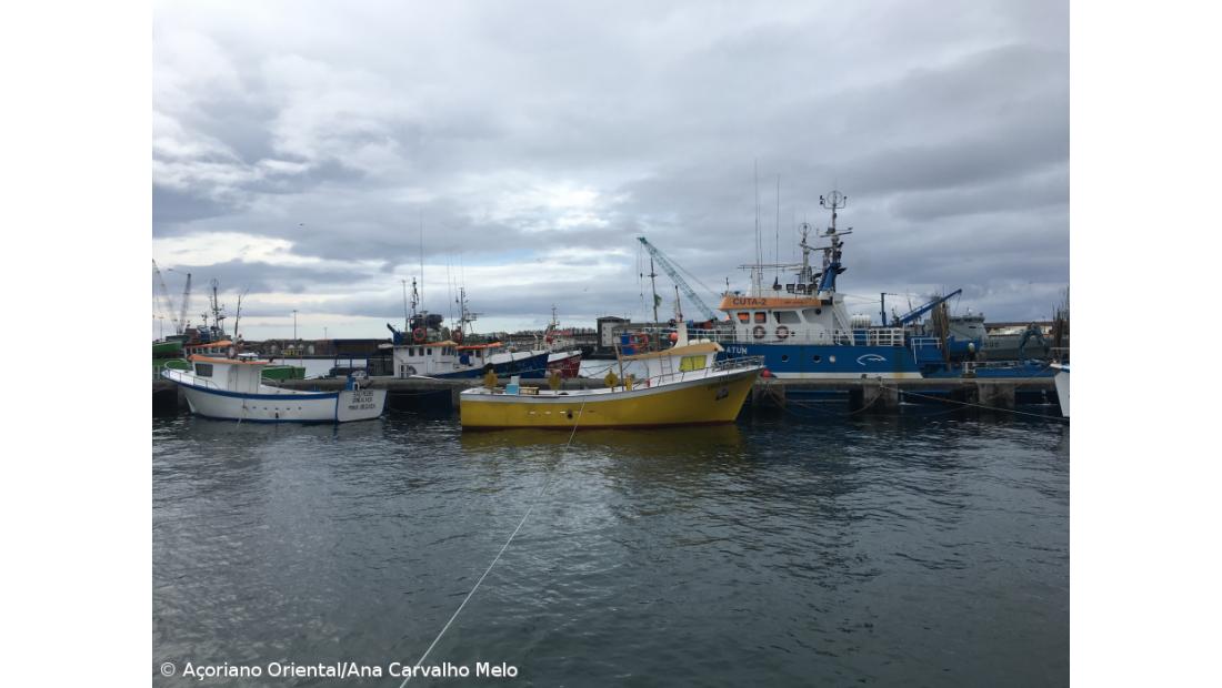 Federação reclama acesso ao crédito bonificado para a pesca