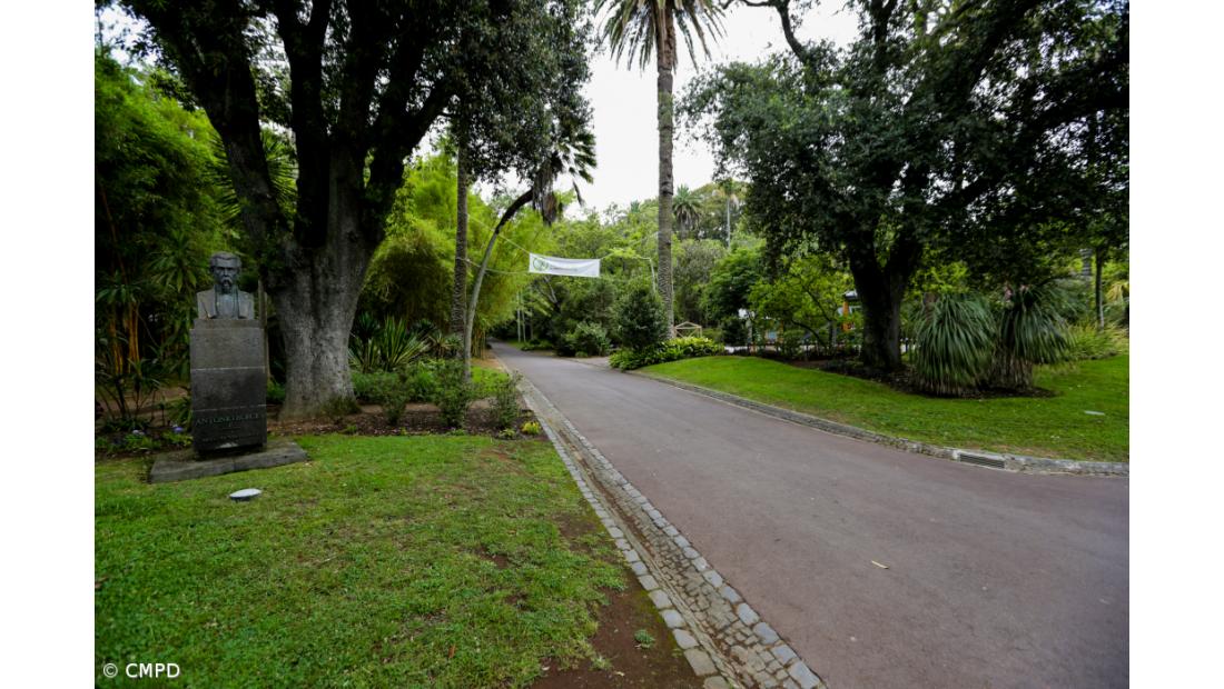 Noites de Verão no "Vale dos Fetos" do Jardim António Borges 
