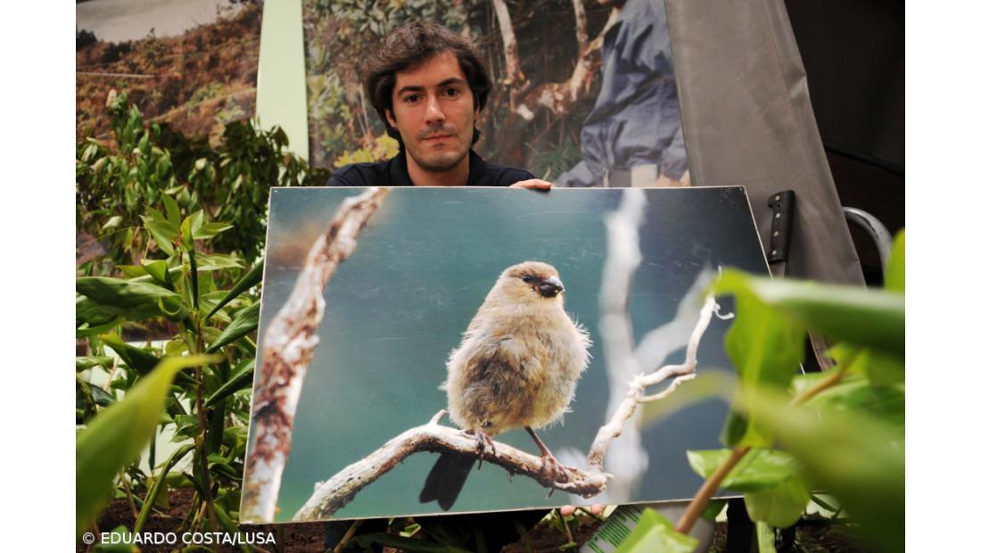 Portugal deve avançar com "conservação efetiva da biodiversidade"