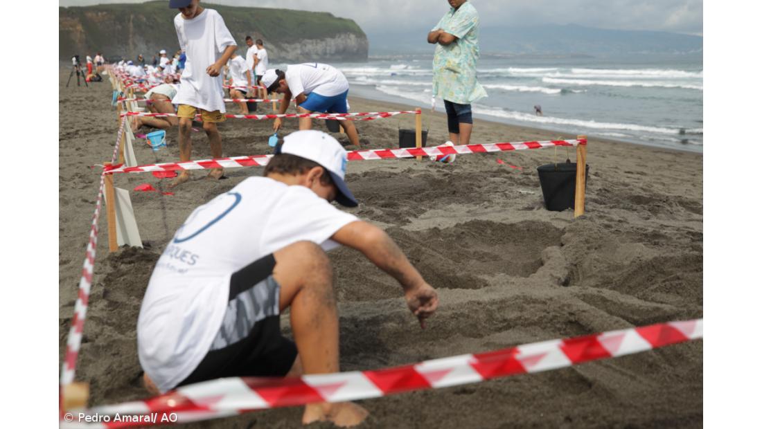 Esculturas na Areia 2019 contou com 45 participantes – Imagem 2