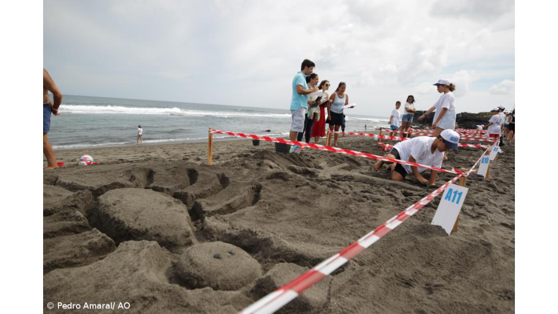 Esculturas na Areia 2019 contou com 45 participantes – Imagem 5