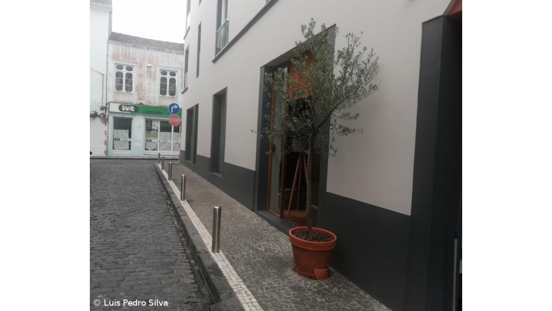 Empresário forçado a retirar planta do passeio público