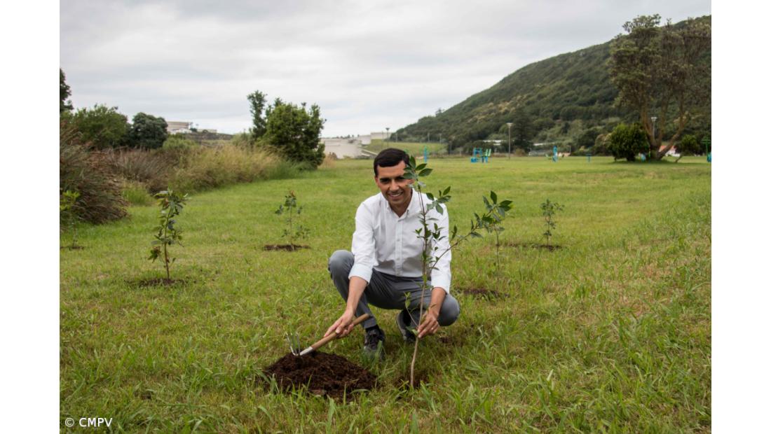 Vasco Lima assume funções de diretor artístico das Festas da Praia 2020 – Imagem 1