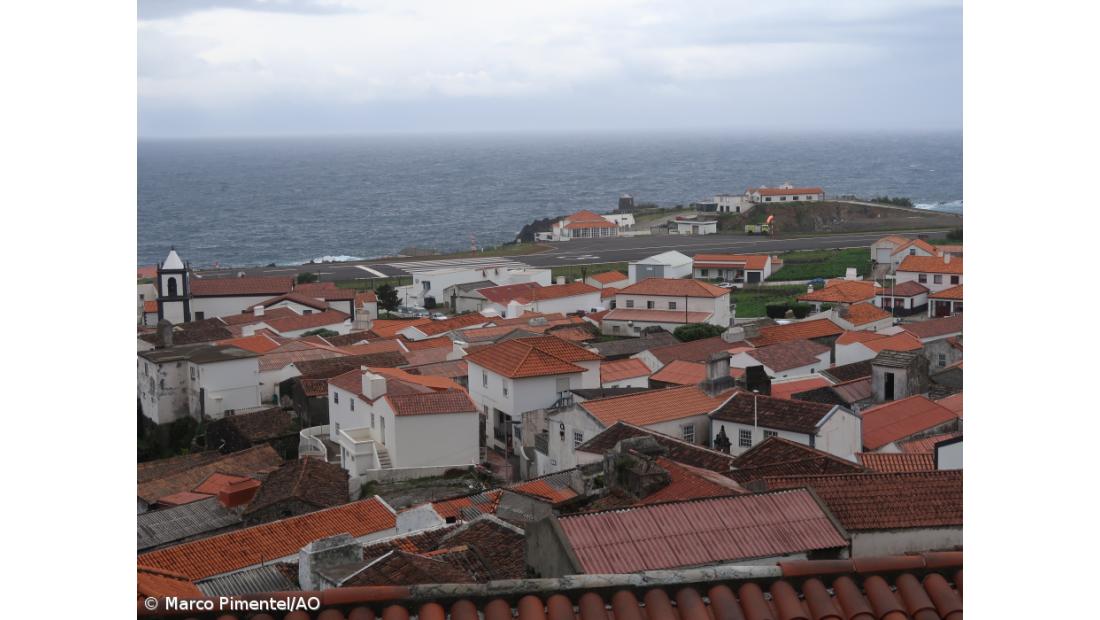 Aprovado apoio extraordinário à alimentação animal nas Flores e do Corvo