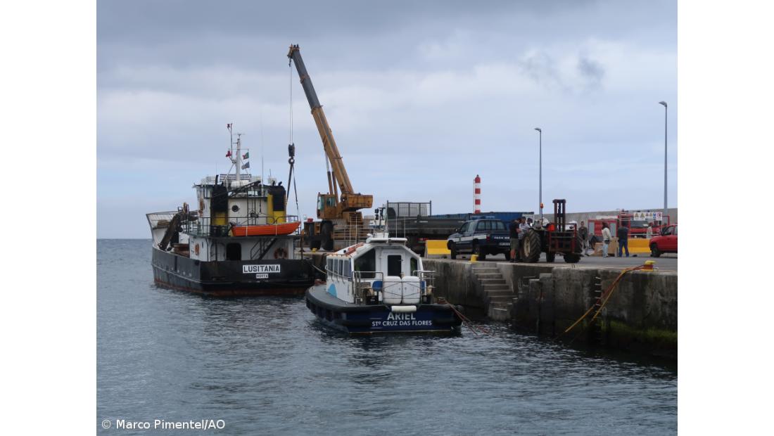 Flores já têm abastecimento regular mas Corvo continua com constrangimentos