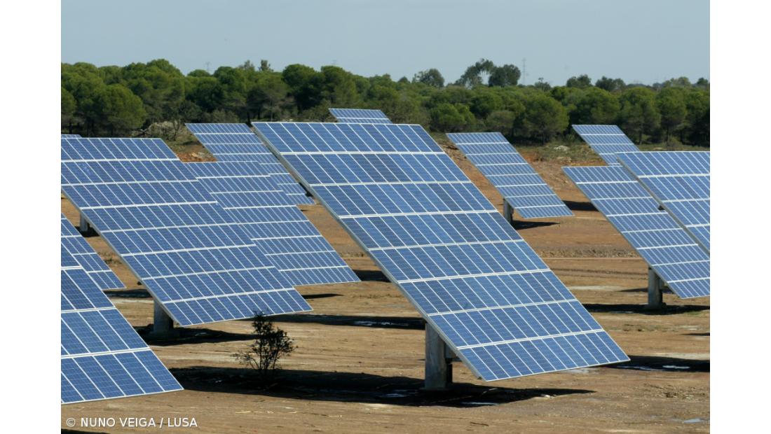 WWF pede medidas "ambiciosas" para atingir 100% de energia renovável em 2050   