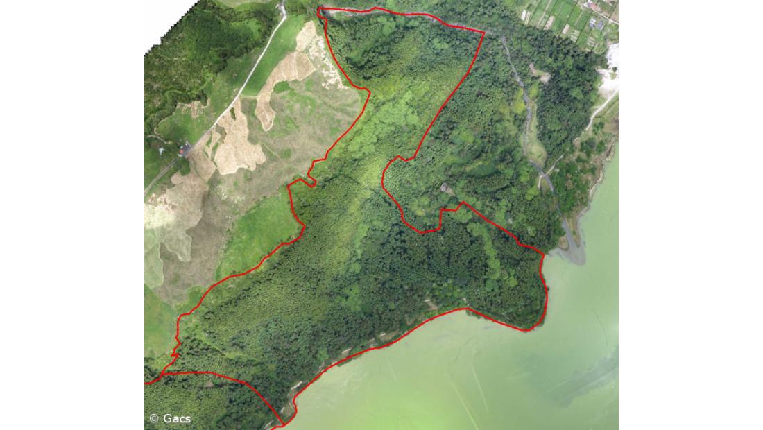 Governo dos Açores lança concurso público para instalação de parque de arvorismo nas Furnas