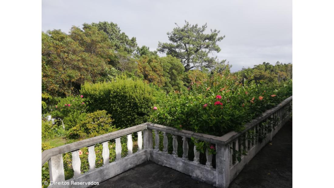 Almeida Firmino E o poeta,  ainda existe? – Imagem 4