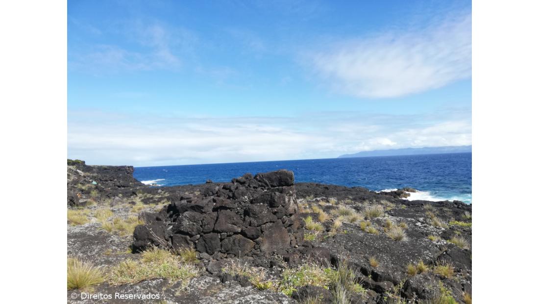 Almeida Firmino E o poeta,  ainda existe? – Imagem 10