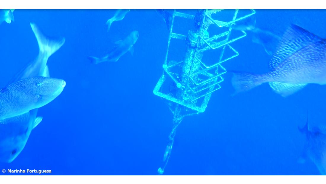 Marinha Portuguesa recupera equipamento oceanográfico norte-americano nos Açores – Imagem 4