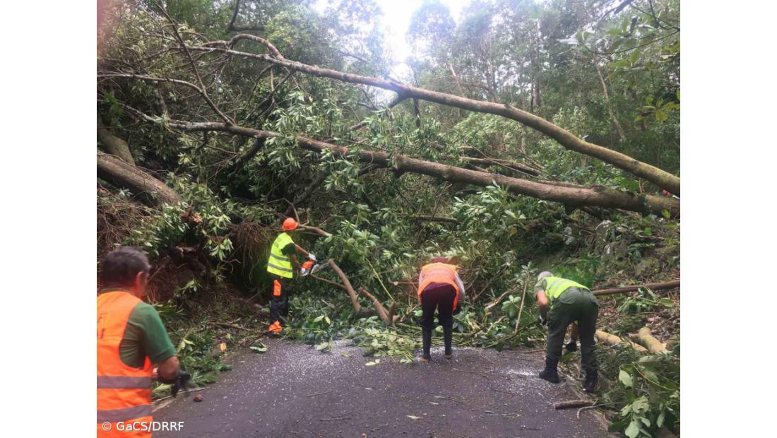 Mais de 150 meios humanos da Direção Regional dos Recursos Florestais estão no terreno a desobstruir caminhos   – Imagem 2