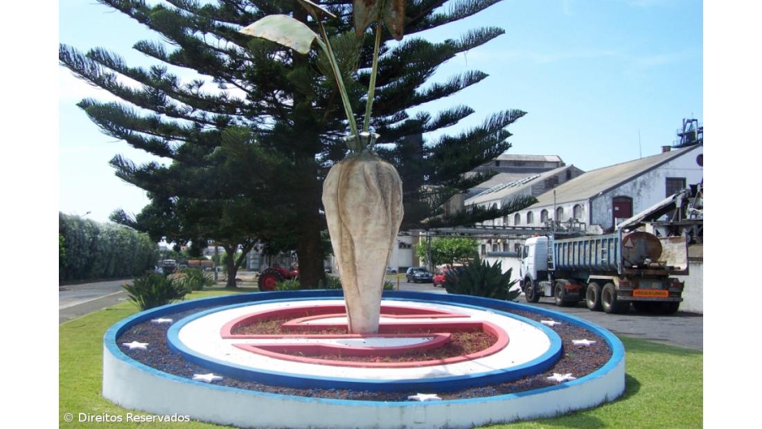 Governo dos Açores concede aval a açucareira Sinaga de 1,75 ME