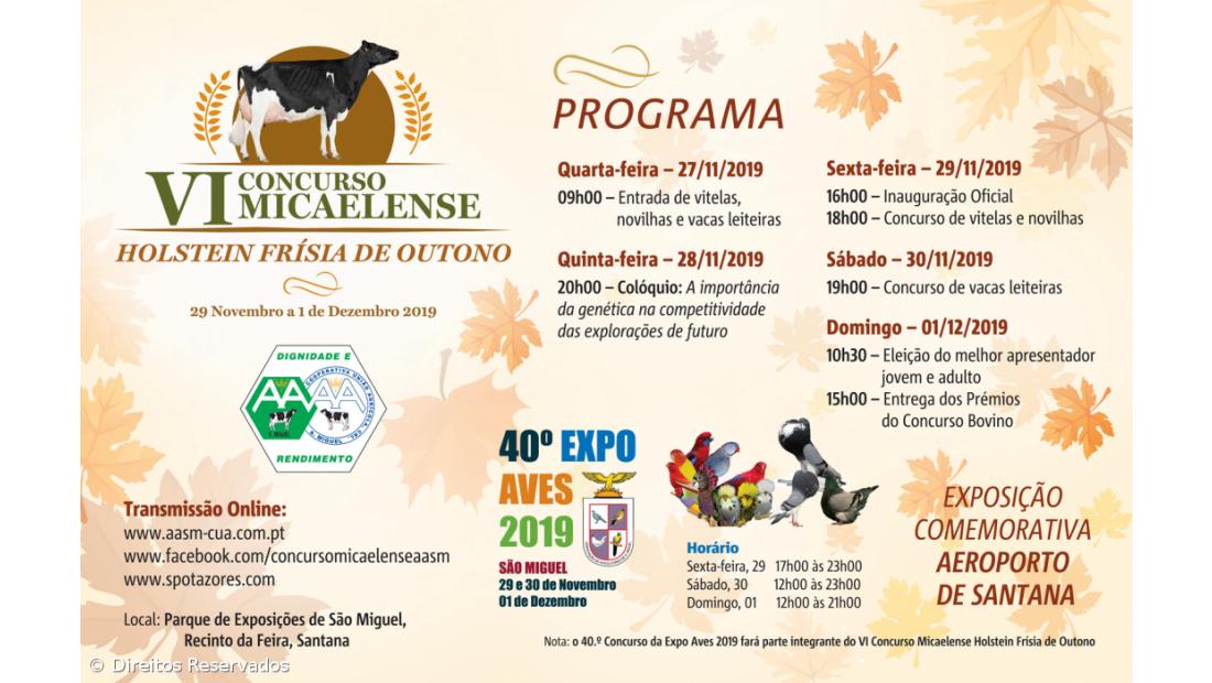 VI Concurso Micaelense da Raça Holstein Frísia de Outono – Imagem 2
